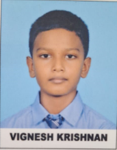 VIGNESH KRISHNAN